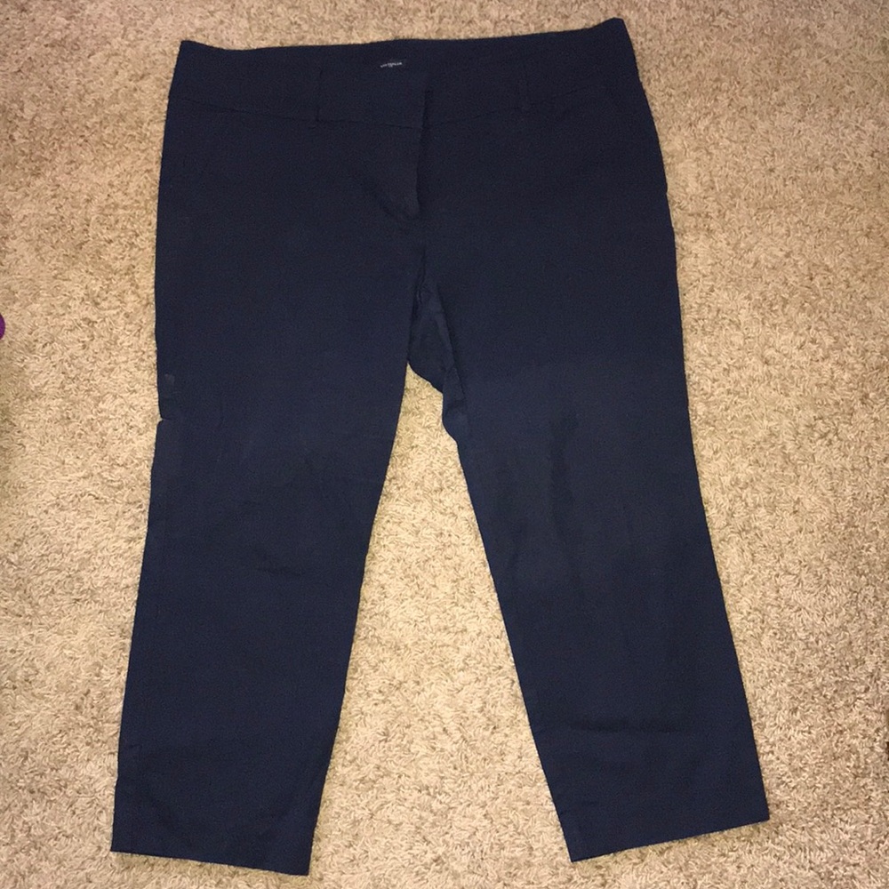 Ann Taylor signature Capri